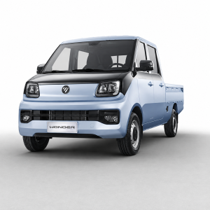 FOTON Wonder Doble Cabina